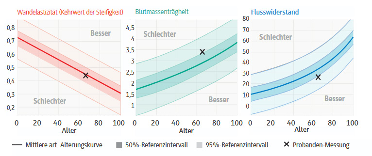 Modellparameter Wandelastizität, Blutmassenträgheit und Flusswiderstand im kardiovaskulären Zwilling